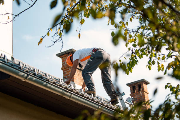 Best Metal Roofing Contractor  in Chewelah, WA